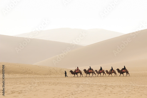 DUNHUANG,CHINA-MARCH 11 2016: A group of tourists are riding camel in the Mingsha Shan desert like the caravan as part of the Silk Road in Dunhuang, Gansu, China.