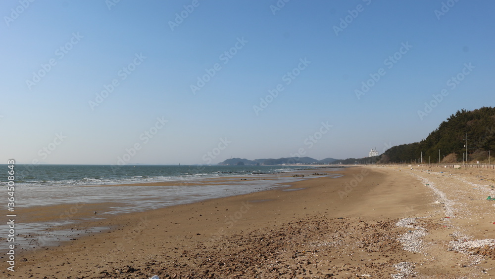 Fototapeta premium beach