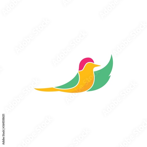 bird vector illustration designbird vector illustration design