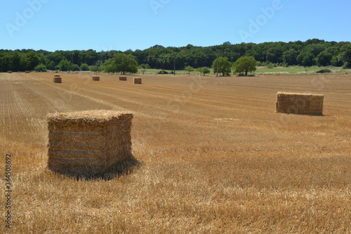 Fotografie Paysage de campagne, bottes de paille carrées