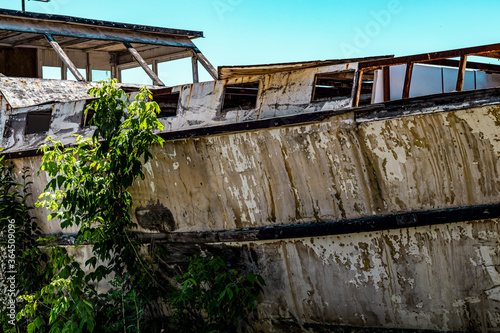 green trees and old aground ship. plants in the boat. nature and marine theme