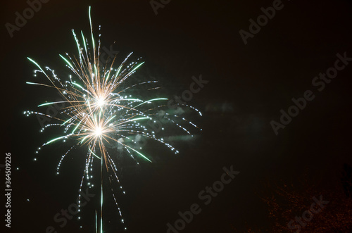 fireworks in the night sky