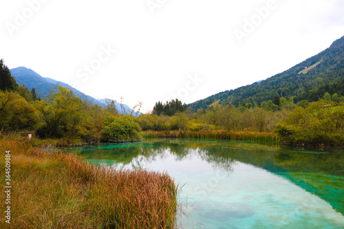 Zelenci nature reserve in autumn in Triglav national park. Kranjska Gora, Slovenia.