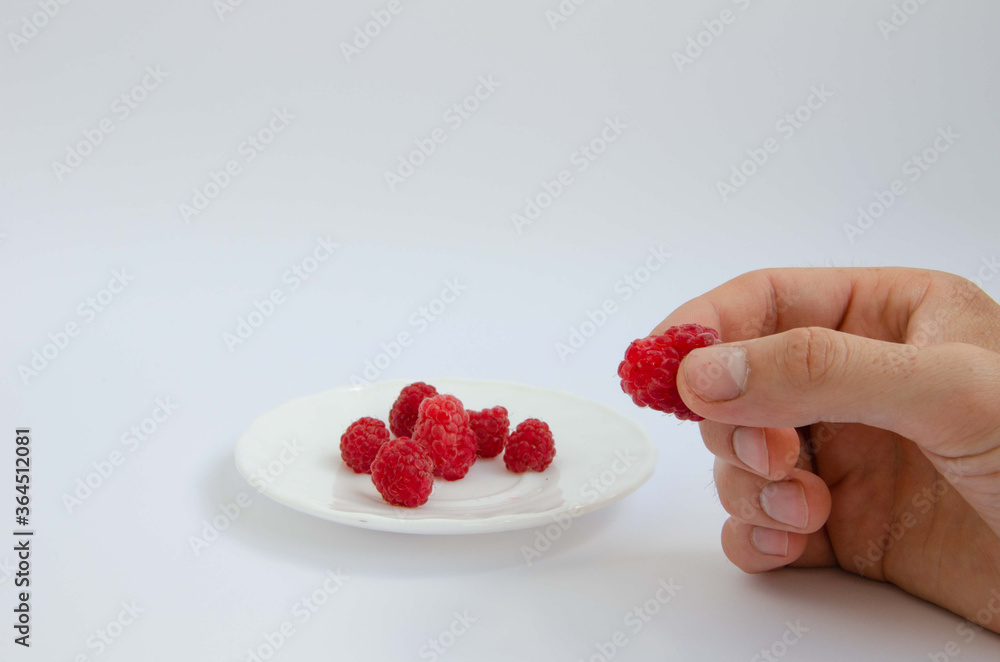 Hand holds raspberry and raspberry berries on a large white plate
Hand holds raspberry and raspberry berries on a large white plate