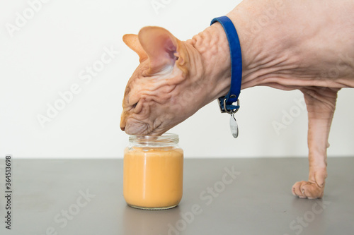 The cat eats baby food