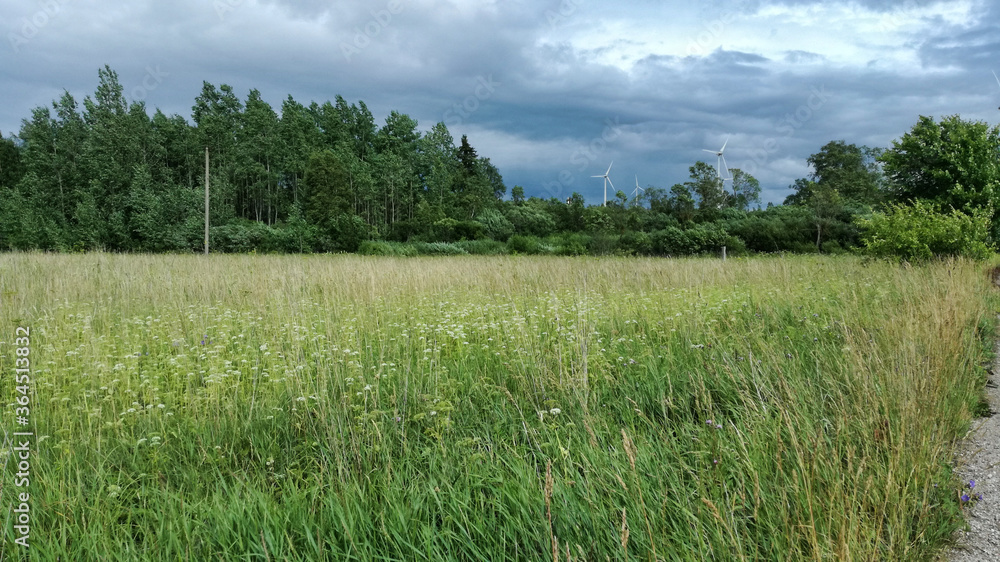 Landscape: meadow, trees, gray clouds, windmills. Landscape: meadow, trees, gray clouds, windmills.