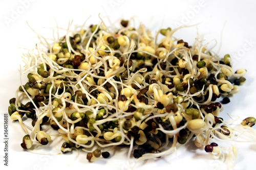 Fresh Sprouted green gram isolated with white background. Fresh, healthy sprouted mung dal or moong beans. 