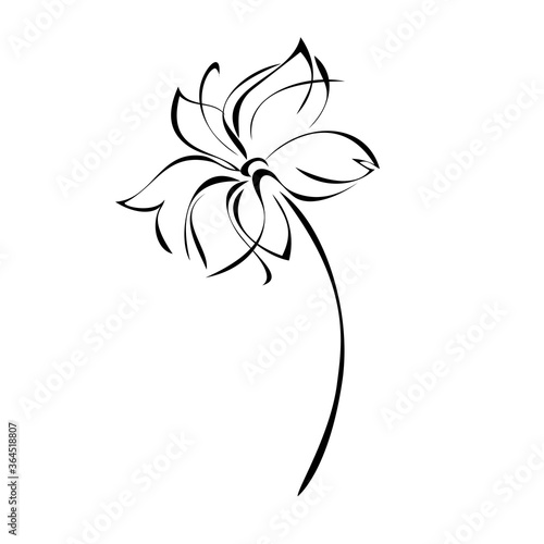 Fototapeta Naklejka Na Ścianę i Meble -  one unique stylized blooming flower on a short stalk without leaves in black lines on a white background