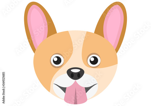 Cara de un perro en fondo blanco.