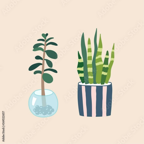 Cactus and snake plant in flowerpot. Houseplant isolated. Houseplant isolated. Trendy hugge style, urban jungle decor. Hand drawn sketch, naive art, print. Logo, label. Green, blue, pink pastel colors