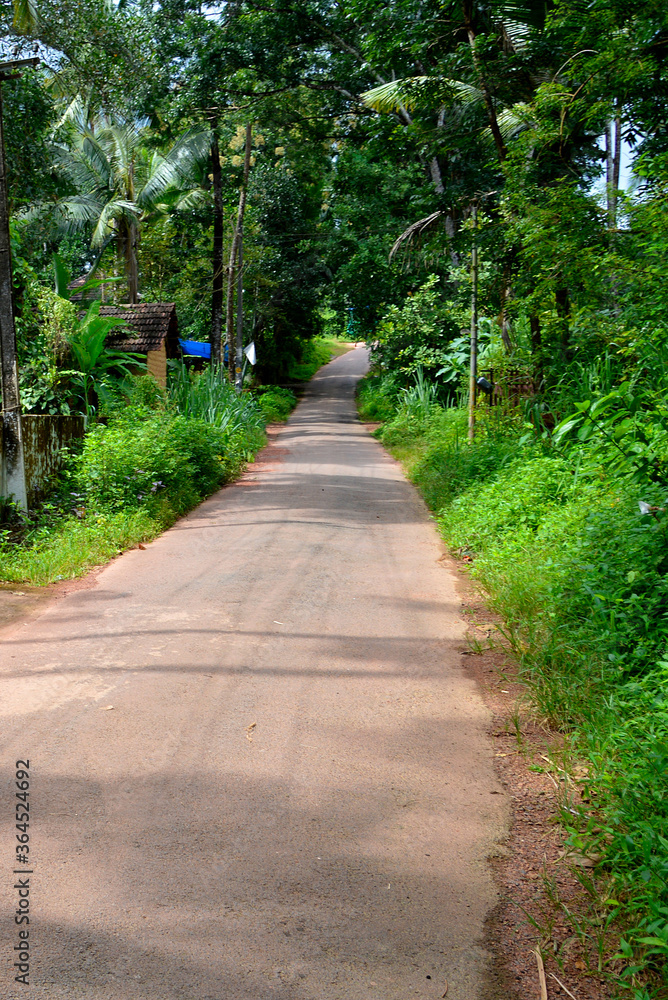 Nice scenery road in kerala