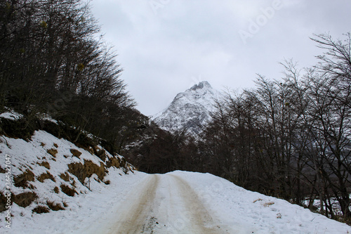 Wallpaper Mural winter landscape with snow Torontodigital.ca