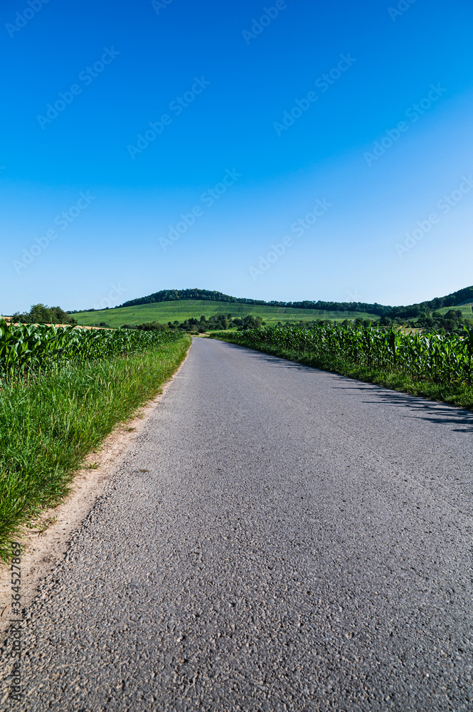The road surrounded by the green field under the blue sky