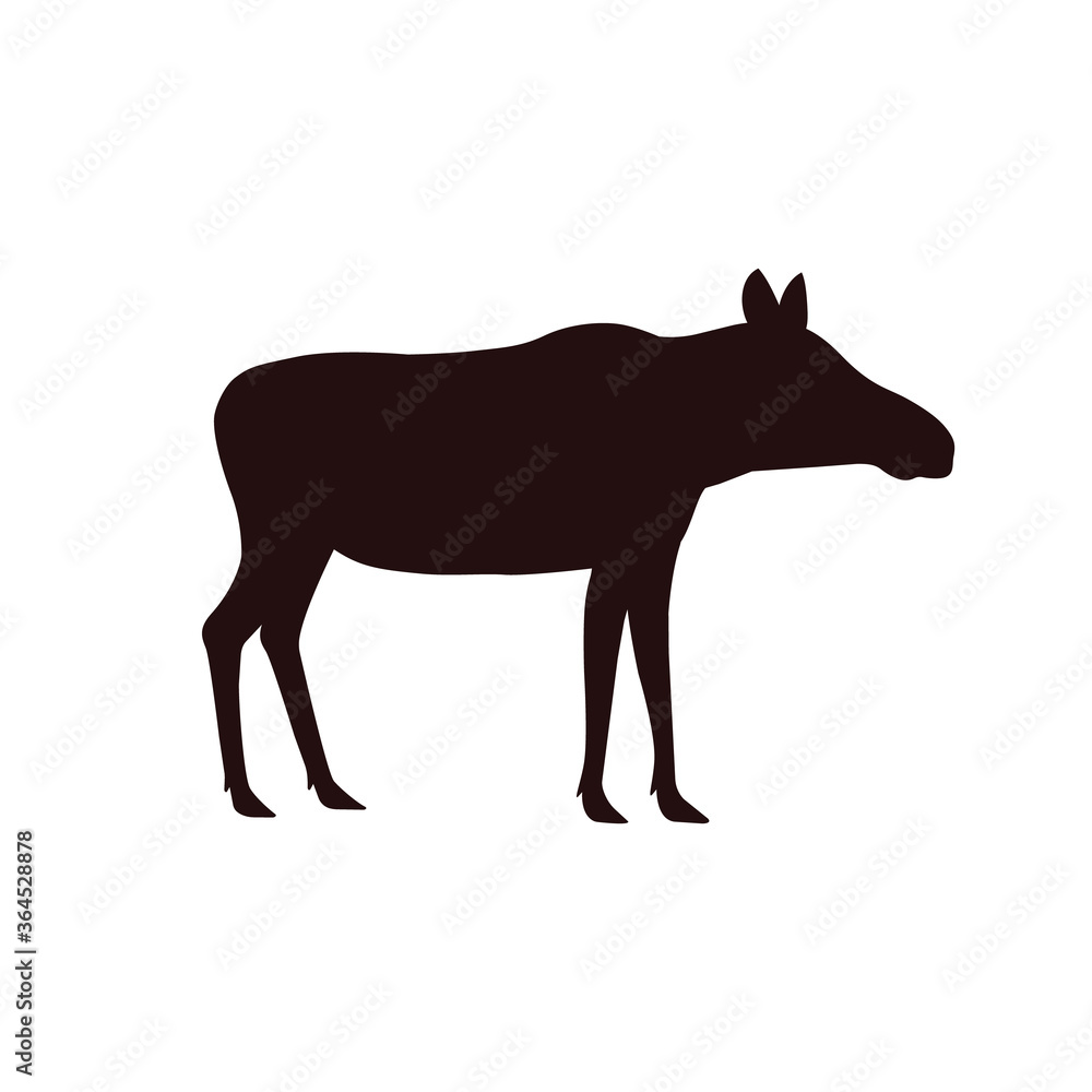 female moose without horns. vector female moose without horns. vector