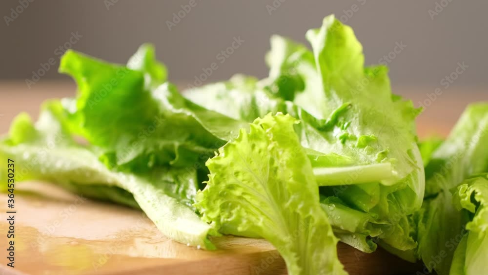 Lettuce salad falls on table macro shot, drops of water Close up Lettuce salad falls on table macro shot, drops of water Close up
