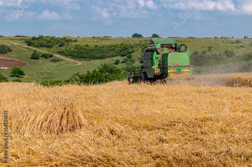 Rear view at combine harvester working on a wheat field. Agriculture harvesting concept. Panoramic banner.