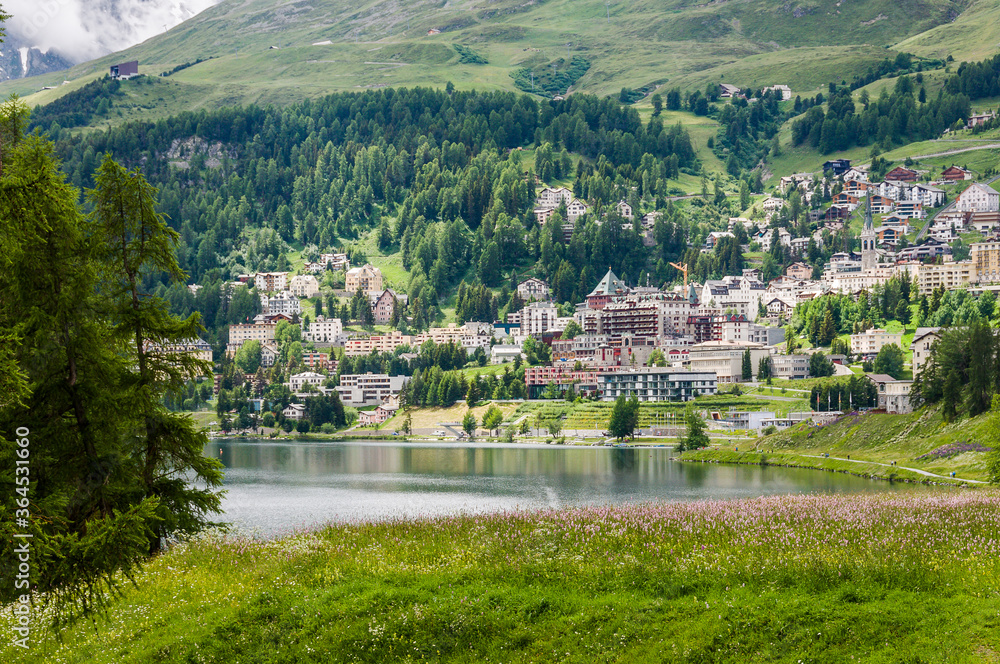 Obraz premium St. Moritz, St. Moritzersee, Wanderweg, Oberengadin, Alpen, Piz Julier, Corviglia, Stazerwald, Bergblumen, Graubünden, Uferweg, Seeufer, Wassersport, Malojawind, St. Moritz Bad, Sommer, Schweiz