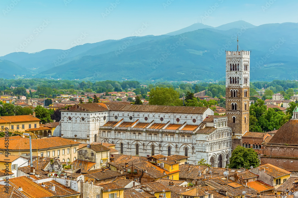 An aerial view towards the St Martin Cathedral in Lucca, Italy in summer