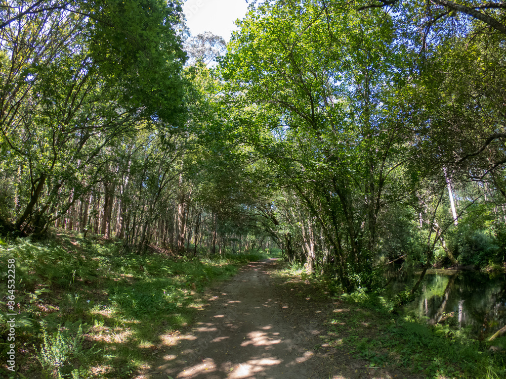 Path next to calm river in nature. Green walking trail in Alvaraes Forest next to Neiva River in Alvaraes Parish Council, Viana do Castelo, Portugal, Europe. Path next to calm river in nature. Green walking trail in Alvaraes Forest next to Neiva River in Alvaraes Parish Council, Viana do Castelo, Portugal, Europe.