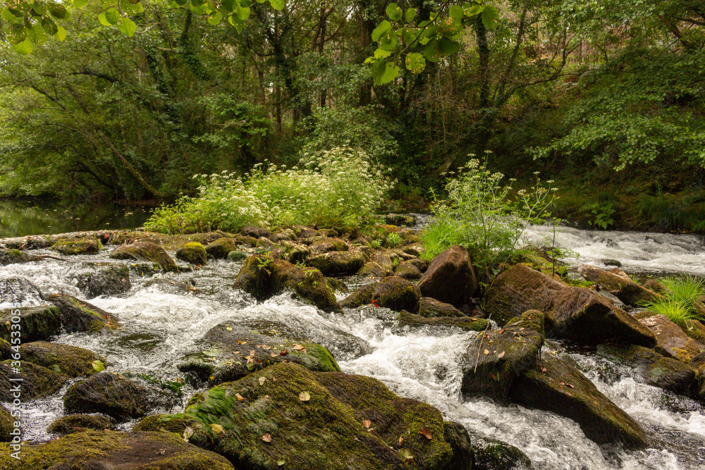 The Neiva River flowing gently through woodland landscape at Alvaraes in Viana do Castelo, Portugal. The Neiva River flowing gently through woodland landscape at Alvaraes in Viana do Castelo, Portugal.
