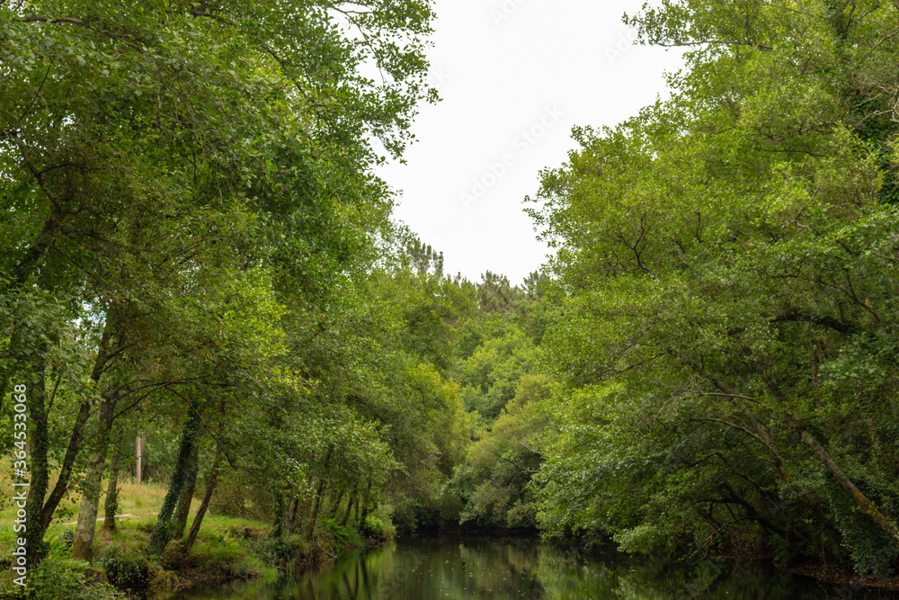 Calm Neiva River flowing gently through woodland landscape at Alvaraes in Viana do Castelo, Portugal.