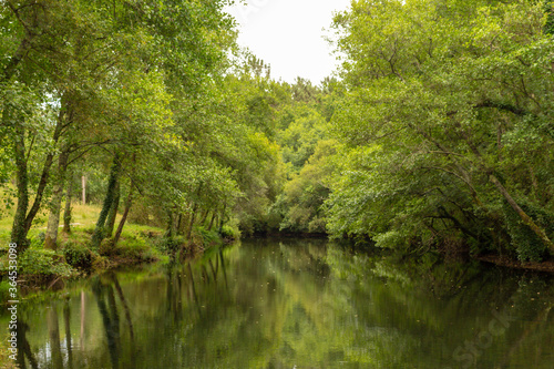 Calm Neiva River flowing gently through woodland landscape at Alvaraes in Viana do Castelo  Portugal.