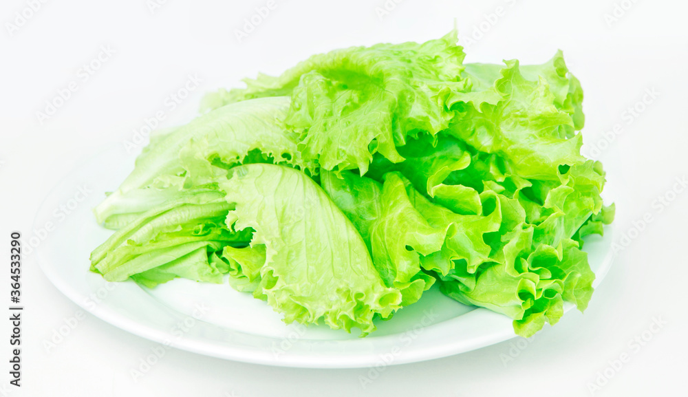 Fresh lettuce on a white plate on a white background Fresh lettuce on a white plate on a white background