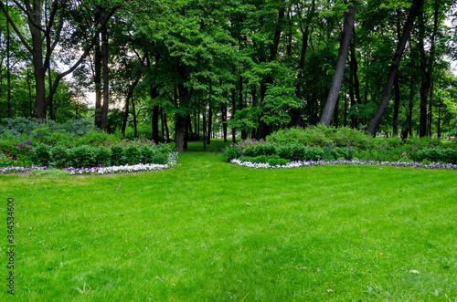 Green garden with grass. Summer courtyard with lawn. Beautiful summer landscape landscape park. Nature for background on postcard.