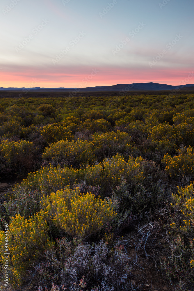 Wide Angle view of sunrise over the Tankwa Karoo close to Sutherland in the Northern Cape of South Africa
