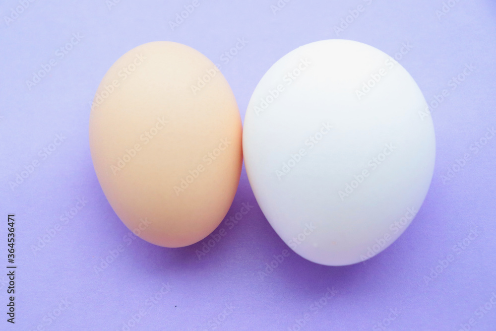 organic chicken egg vs farm layer hen egg. brown egg and white egg of hens with a blue background. organic chicken egg vs farm layer hen egg. brown egg and white egg of hens with a blue background.