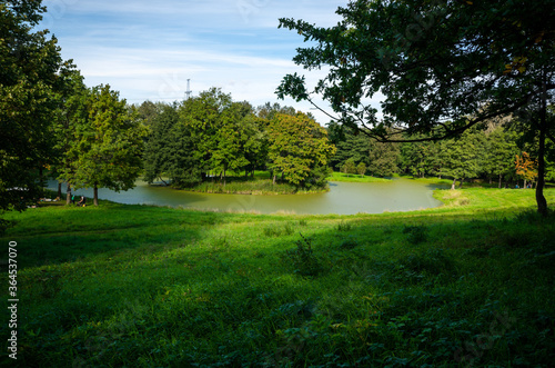 Green garden with a lake. Summer courtyard with lawn. Beautiful summer landscape landscape park. Nature for background on postcard.