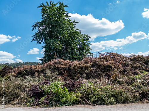 Grünabfall Sammelstelle photo