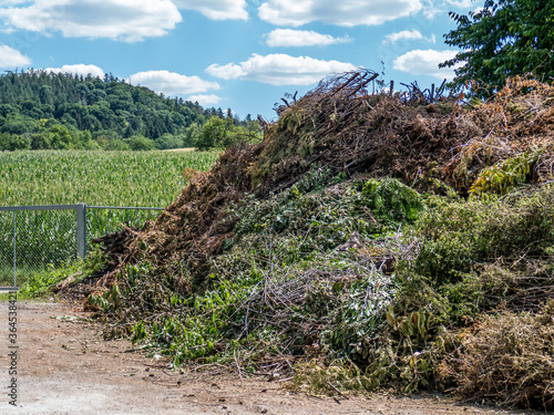 Grünabfall Sammelstelle photo