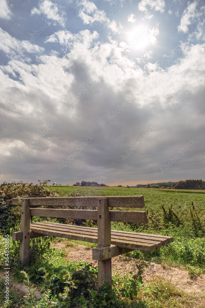 Empty wooden bench overlooking farmland in sunlight with cloudy sky during summer, Flanders, Belgium