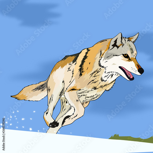 Lobo corriendo sobre la nieve tratando de cazar a su presa. Vector hecho con colores planos photo