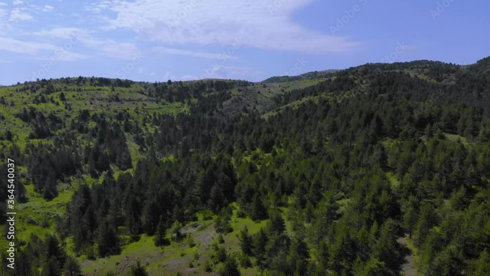 Nature landscape with pine trees forest and peaceful green hills under cloudy summer sky Nature landscape with pine trees forest and peaceful green hills under cloudy summer sky