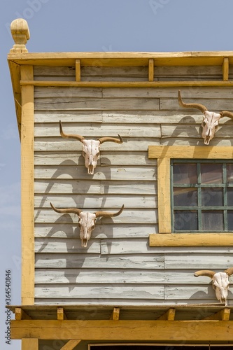 Buffalo skulls hanging from the exterior walls of the wooden house photo