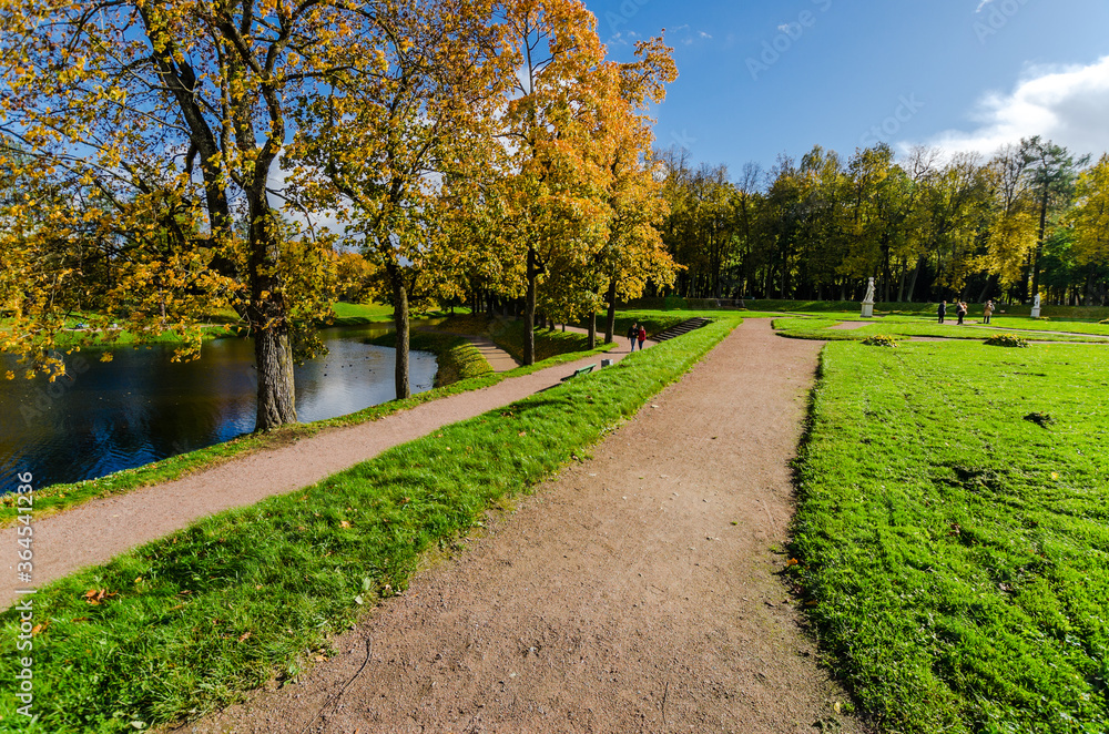 Obraz premium Autumn leaves in the trees