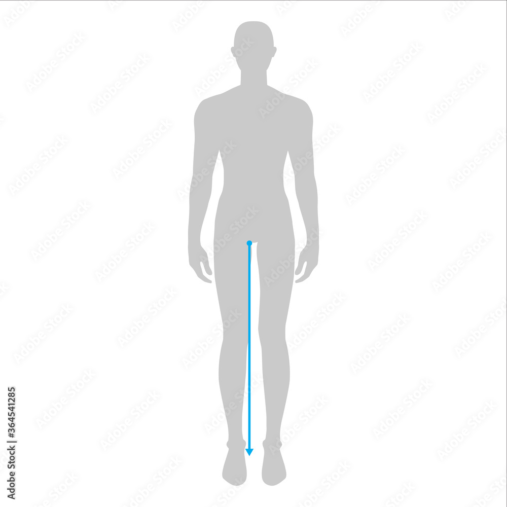 Men to do legs length measurement fashion Illustration for size chart. 7.5 head size boy for site or online shop. Human body infographic template for clothes. Men to do legs length measurement fashion Illustration for size chart. 7.5 head size boy for site or online shop. Human body infographic template for clothes.