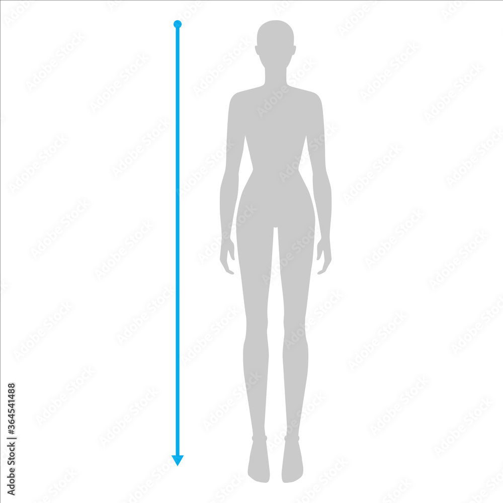 Women to do height measurement fashion Illustration for size chart. 7.5 head size girl for site or online shop. Human body infographic template for clothes. Women to do height measurement fashion Illustration for size chart. 7.5 head size girl for site or online shop. Human body infographic template for clothes.