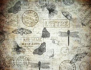 Fototapete Schmetterlinge im Grunge Vintage Schmetterlinge mit Schriftzug  © banya