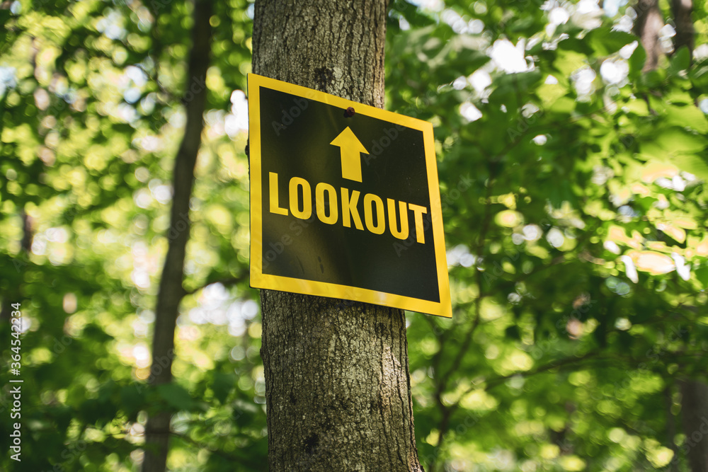 View of a sign that says lookout in a forest