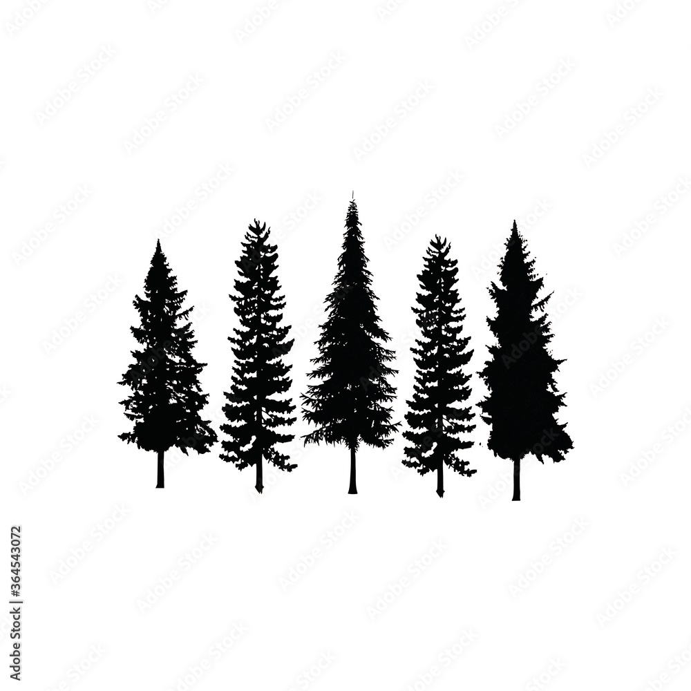 Set Collection Conifer Cedar Coniferous Cypress Pine Evergreen Fir Hemlock Spruce Larch Pinus tree forest illustration Logo design
