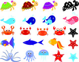 Isolated Sea Animals Vectors, Fish and Turtle Illustrations 