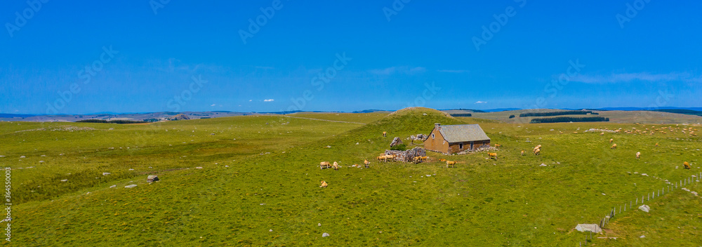 panorama of Aubrac plateau- beautiful france landscape rural