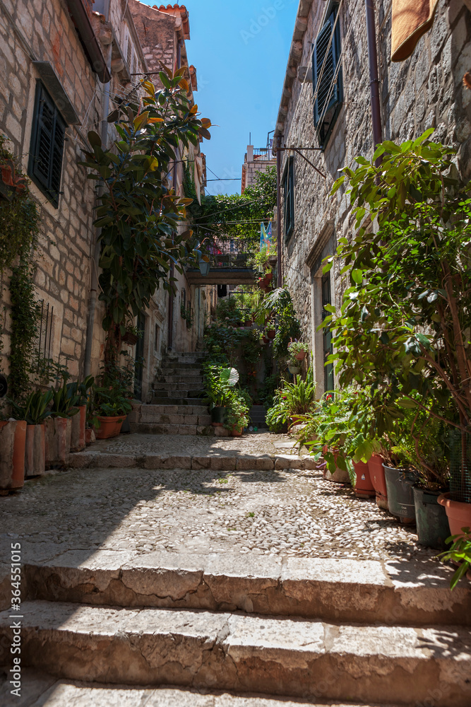 Ulica od Domina, a narrow, steep, flower-filled lane in stari grad (old town), Dubrovnik, Croatia