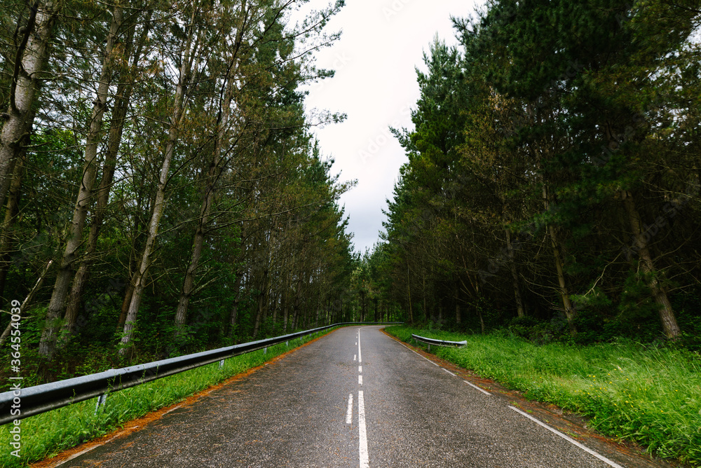 Low angle of empty roadway surrounded by tall green trees on cloudy day in Hoces del Esva Low angle of empty roadway surrounded by tall green trees on cloudy day in Hoces del Esva