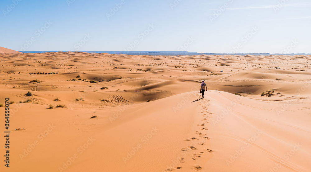Back view of unrecognizable tourist enjoying stroll along sandy terrain in desert of Morocco on sunny day with blue sky
