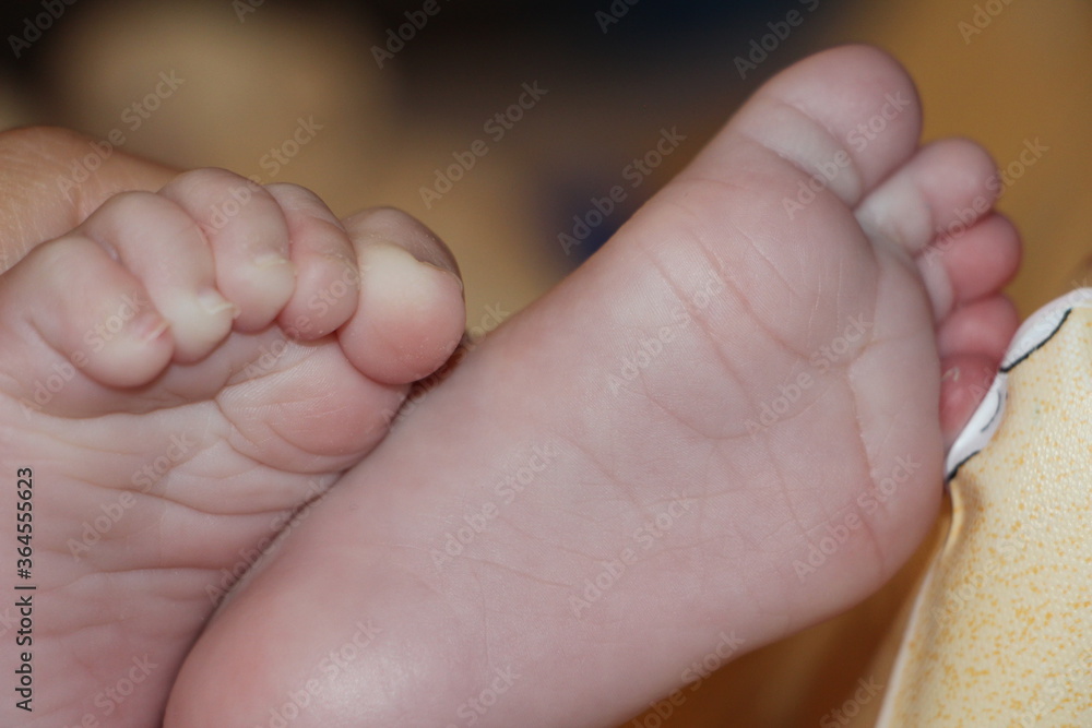 newborn baby feet newborn baby feet