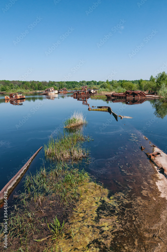 Abandoned sunken Barges Boats On River Pripyat in Chernobyl exclusion Zone. Chernobyl Nuclear Power Plant Zone of Alienation in Ukraine